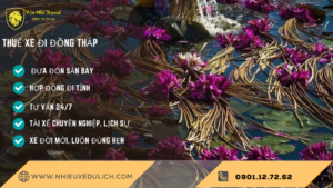 thuê xe đi đồng tháp
