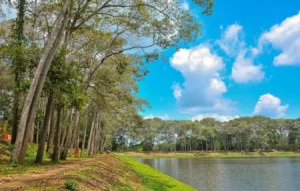 Thuê Xe Hợp Đồng Trà Vinh