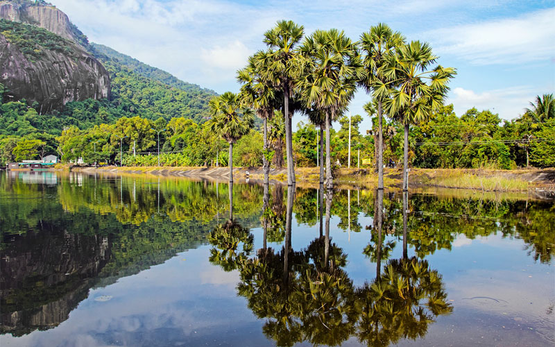 thuê xe hợp đồng An Giang