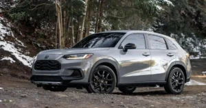 thuê xe hợp đồng bà rịa