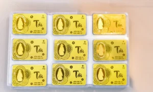 Biến động giá vàng trong năm 2024