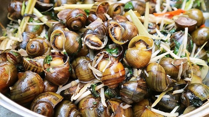 Ốc Nhé – Chuyên đặc sản Cần Thơ 