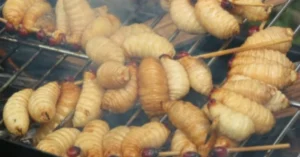 Top Các Món Ăn Ngon Tại Bến Tre