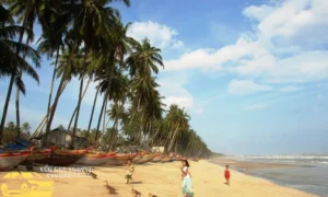 Top Địa Điểm Du Lịch Mũi Né Không Thể Bỏ Qua