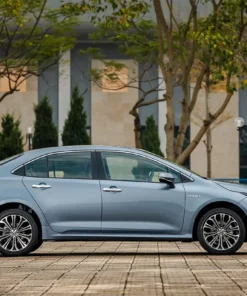 Thuê Xe Từ Bình Dương Đi Cà Mau