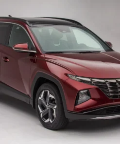 thuê xe du lịch tại đức linh