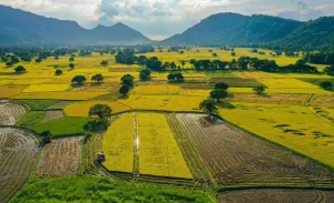 Địa Điểm Du Lịch Tại An Giang Nổi Tiếng Nhất