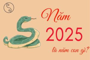 Năm 2025 là Năm Ất Tỵ