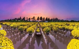 địa điểm du lịch tại đồng tháp