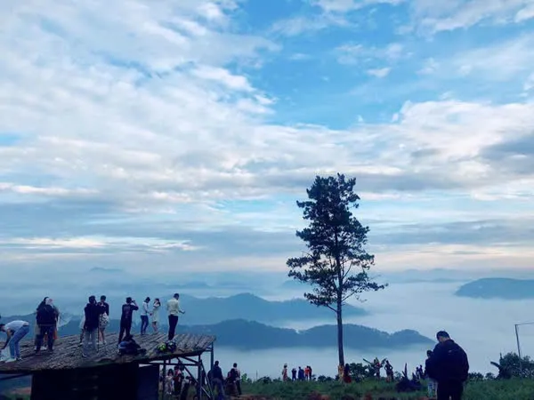 Bang Gia Thue Xe Da Lat Di Sai Gon Co Tai Xe